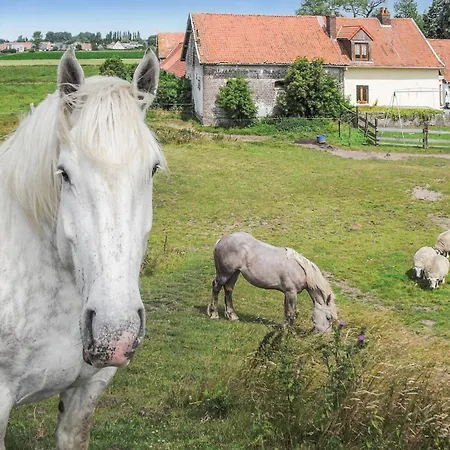 Lovely In Boucres With Wifi Prázdninový dům